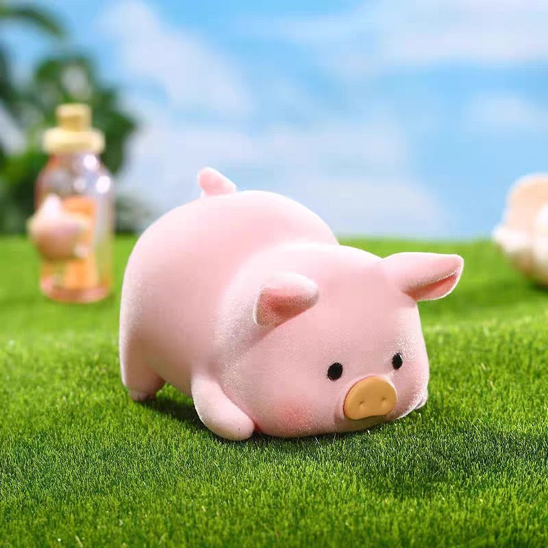 Pig daily series